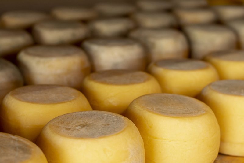 Збанкрутілий Гадячсир купили на аукціоні
