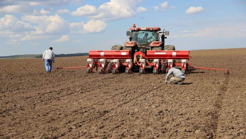Україна зменшила площу посівів під сільгоспкультурами на 6,1% у 2025 році