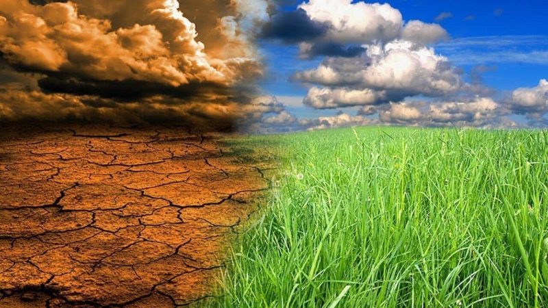 Урожайність під загрозою, як спека та наслідки війни вплинули на аграріїв України