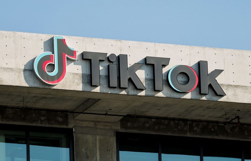 TikTok під слідством: у Франції підозрюють соцмережу у спонуканні молоді до самогубства